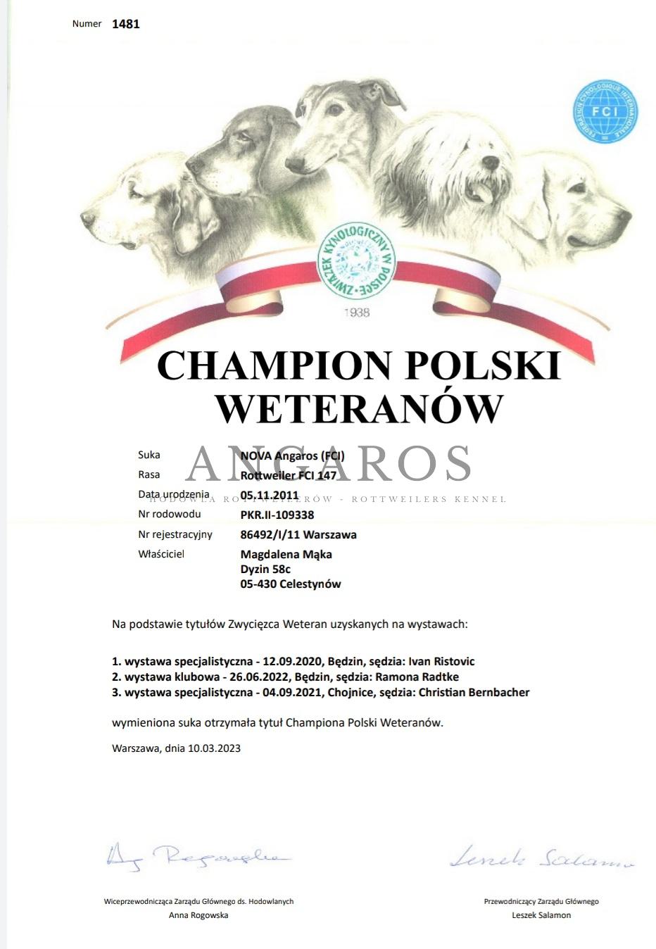 Cudowna babunia NOVA Angaros – Championem Polski Weteranów! To wisienka na torcie naszej kochanej i niezwykle utytułowanej 12- letniej suni. | Rottweiler - Hodowla Rottweilerów Angaros - Rottweilers - Rottweilery