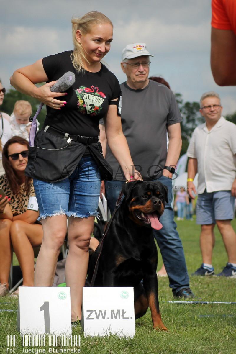 Rottweilery ANGAROS Zwycięzcami Polski 2023 !!! | Rottweiler - Hodowla Rottweilerów Angaros - Rottweilers - Rottweilery