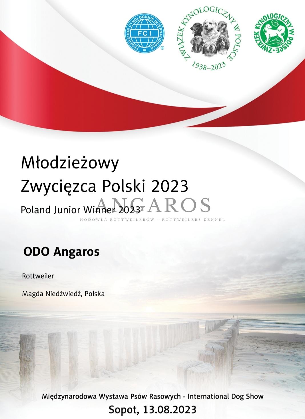 W dniu dzisiejszym otrzymaliśmy dyplomy naszych Zwycięzców Polski 2023! ODA Angaros i SEPHORY Angaros. | Rottweiler - Hodowla Rottweilerów Angaros - Rottweilers - Rottweilery