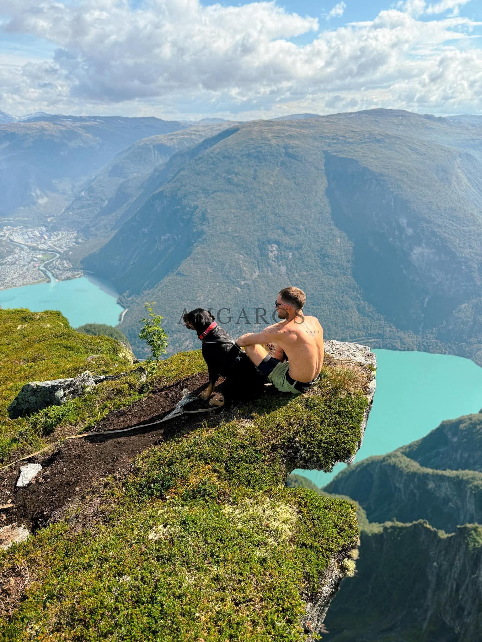 KATNISS Angaros (po domowemu Shima) w raju! Miłego weekendu kochani.. | Rottweiler - Hodowla Rottweilerów Angaros - Rottweilers - Rottweilery